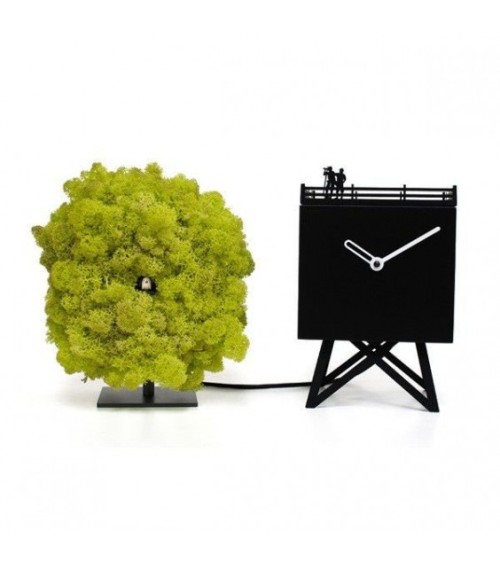 Orologio Birdwatching PROGETTI | BHOME Arredi Barbàra