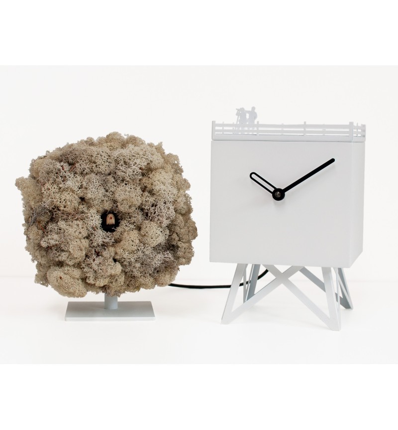 Reloj Birdwatching PROGETTI | BHOME by Arredi Barbàra