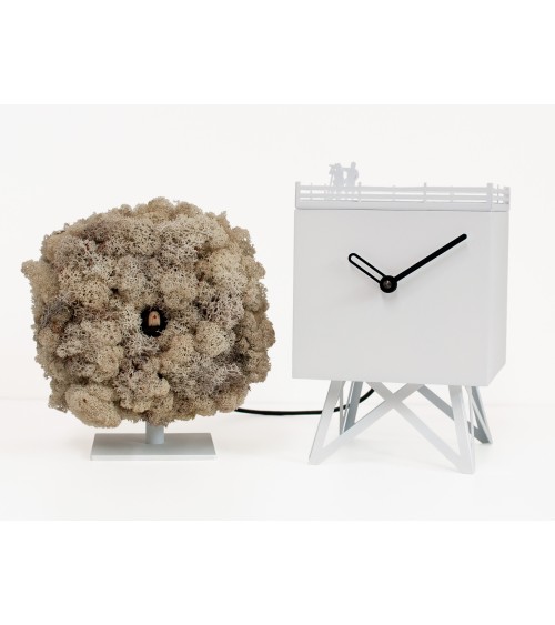 Orologio Birdwatching PROGETTI | BHOME Arredi Barbàra