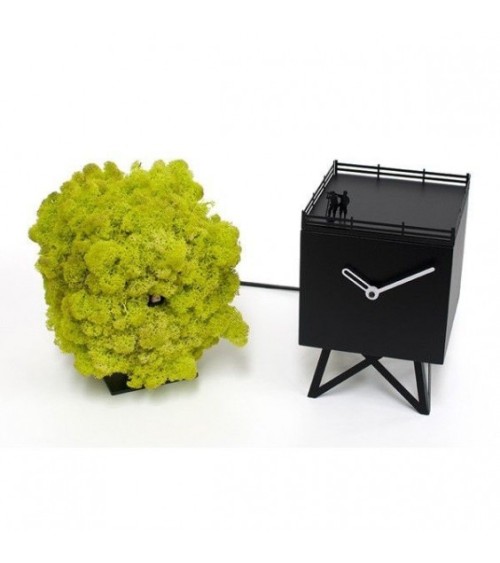 Reloj Birdwatching PROGETTI | BHOME by Arredi Barbàra