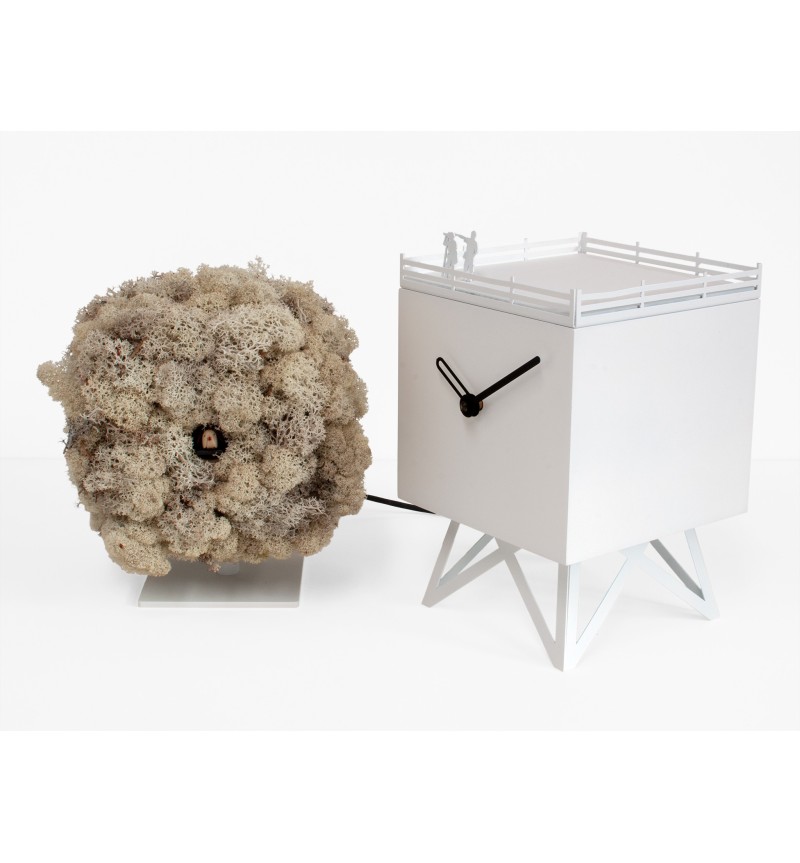 Reloj Birdwatching PROGETTI | BHOME by Arredi Barbàra