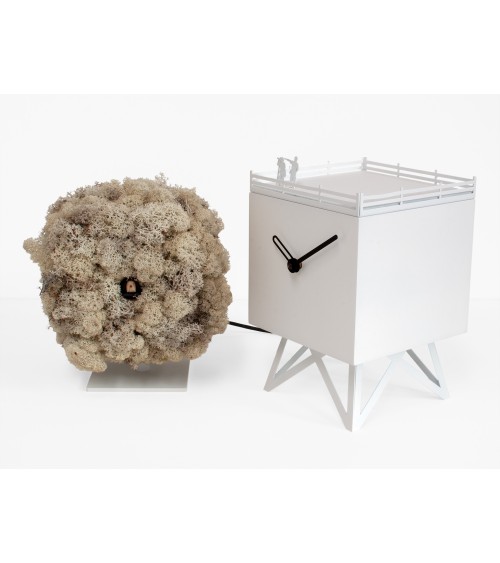 Reloj Birdwatching PROGETTI | BHOME by Arredi Barbàra