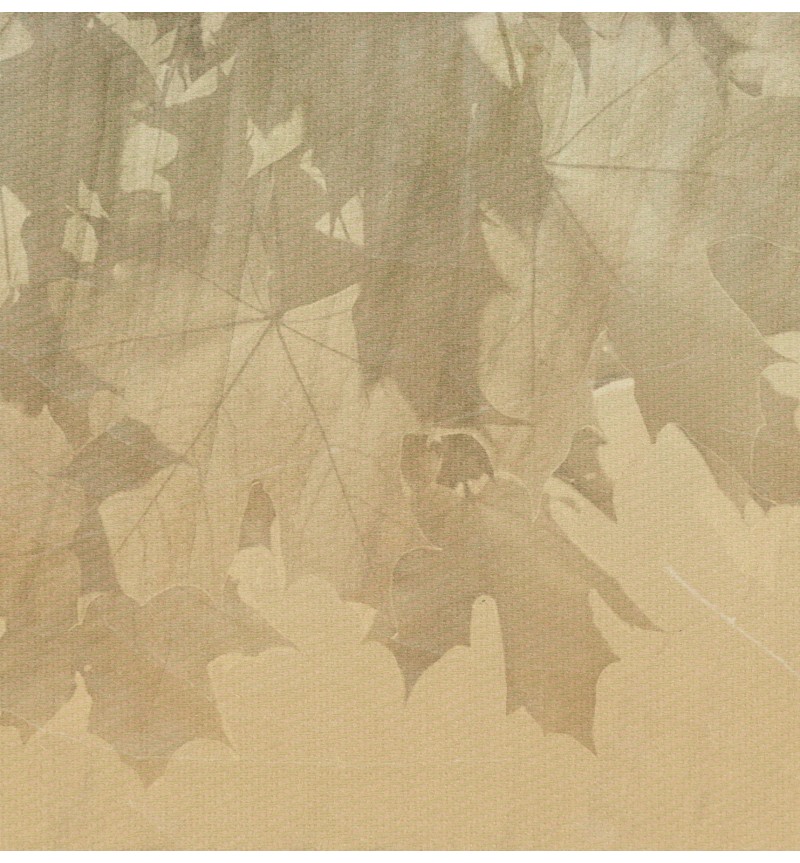 Papel pintado “Creative Leaves” – TONIN CASA | BHOME by Arredi Barbàra