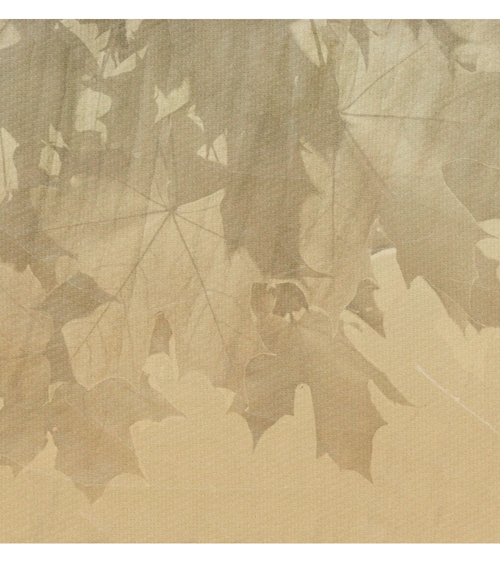 Tapete “Creative Leaves” – TONIN CASA | BHOME by Arredi Barbàra