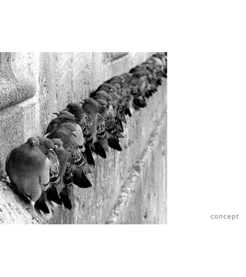 Reloj Fatti + in là PROGETTI | BHOME by Arredi Barbàra