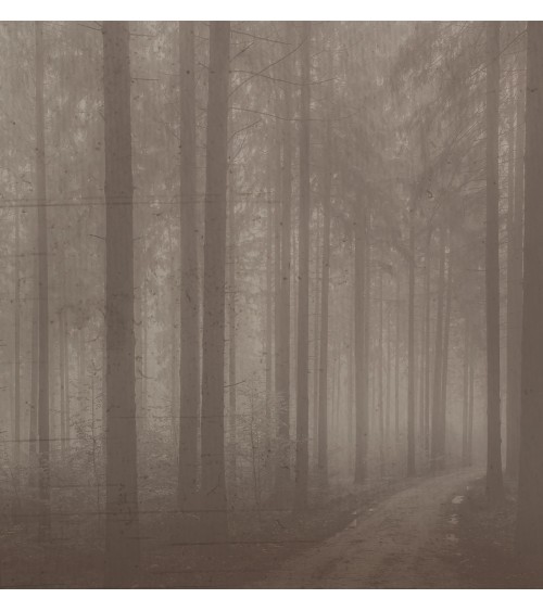 Meta Title: Carta da parati “Night Forest” – TONIN CASA | BHOME by Arredi Barbàra