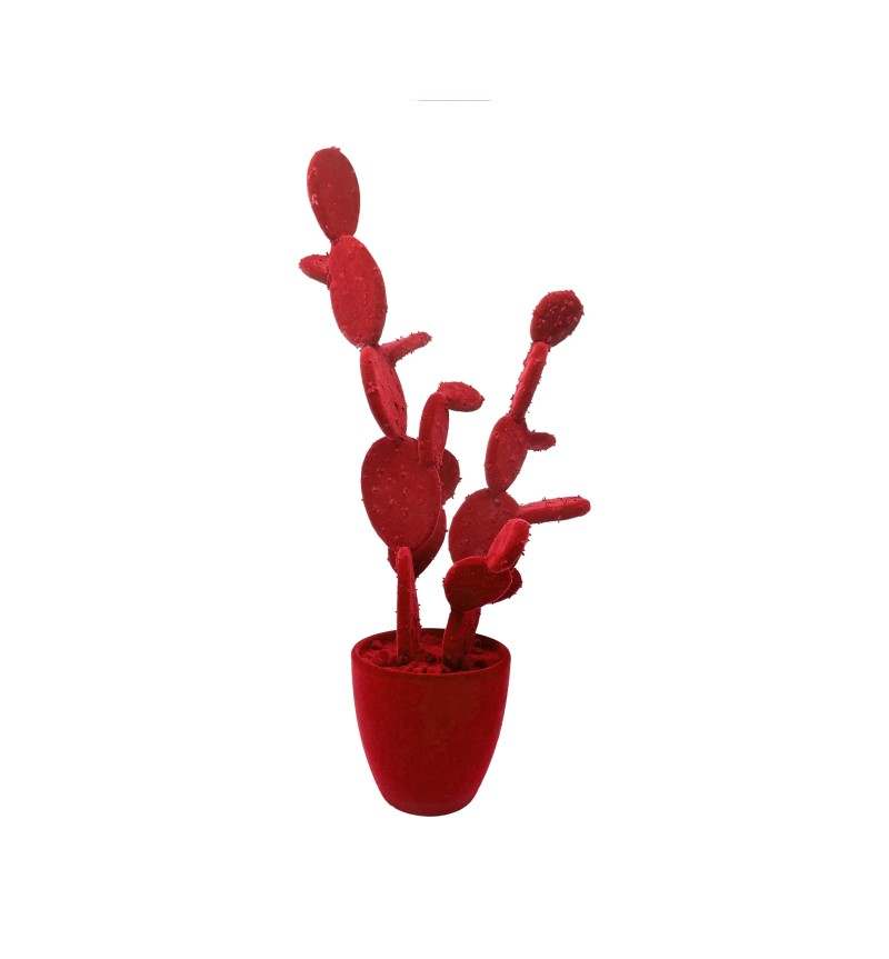 Artificial plant “FICO D’INDIA” ruby – ADRIANI E ROSSI | BHOME