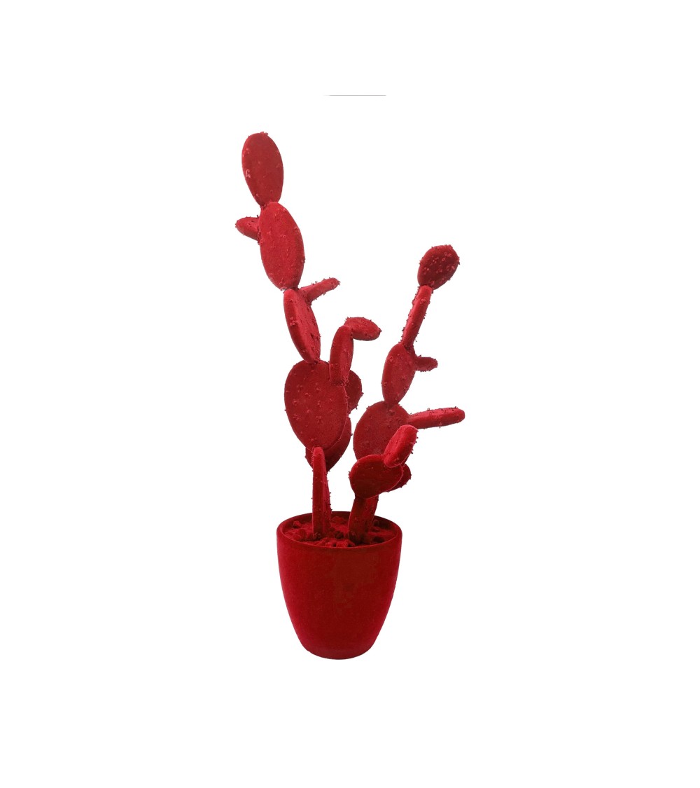 Artificial plant “FICO D’INDIA” ruby – ADRIANI E ROSSI | BHOME