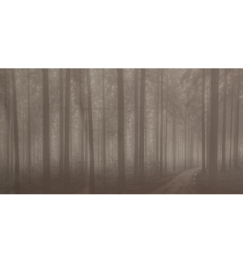 Meta Title: Carta da parati “Night Forest” – TONIN CASA | BHOME by Arredi Barbàra