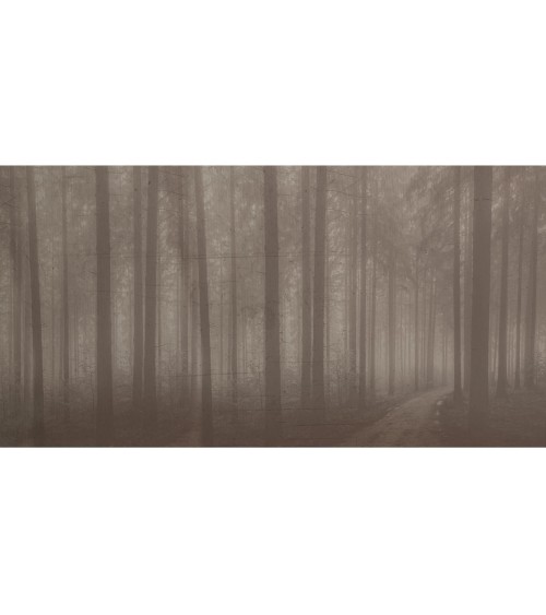 Meta Title: Wallpaper “Night Forest” – TONIN CASA | BHOME by Arredi Barbàra