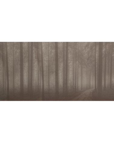 Meta Title: Wallpaper “Night Forest” – TONIN CASA | BHOME by Arredi Barbàra