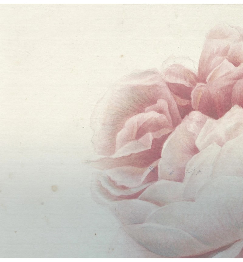 Meta Title: Carta da parati “Romantic Flower” – TONIN CASA | BHOME by Arredi Barbàra