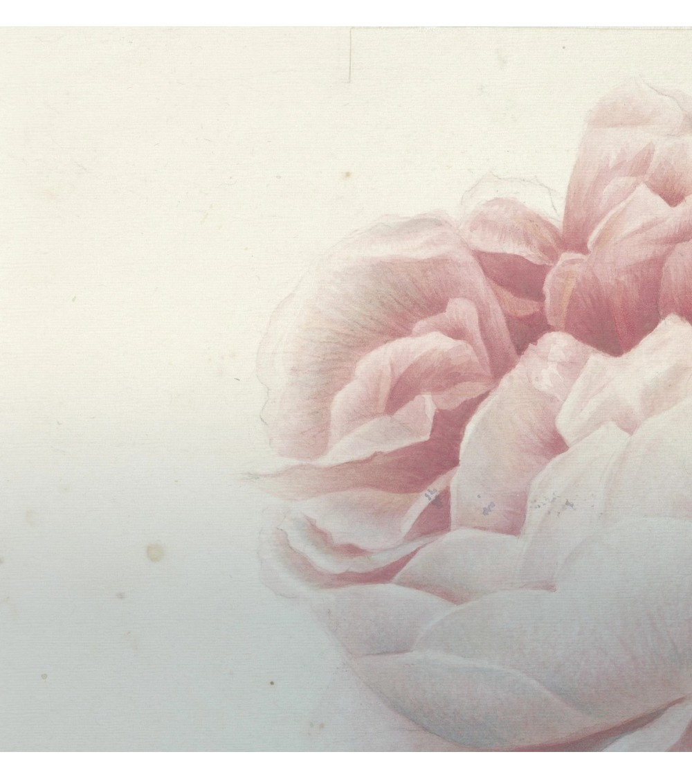 Meta Title: Carta da parati “Romantic Flower” – TONIN CASA | BHOME by Arredi Barbàra