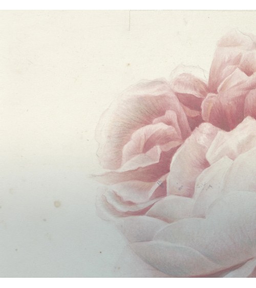 Meta Title: Carta da parati “Romantic Flower” – TONIN CASA | BHOME by Arredi Barbàra