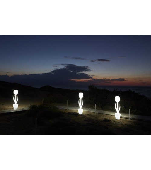 Tulip Floor Lamp MY YOUR | Bhome by Arredi Barbàra