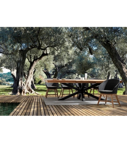 Coachella outdoor chair BIZZOTTO – teak and rope