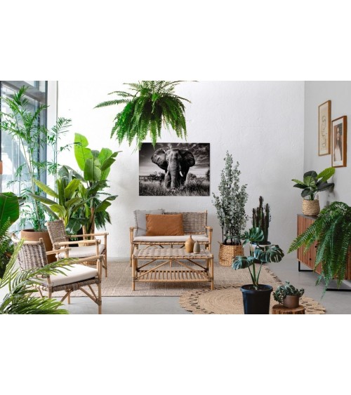 Outdoor Sofa TARIFA – BIZZOTTO | BHOME