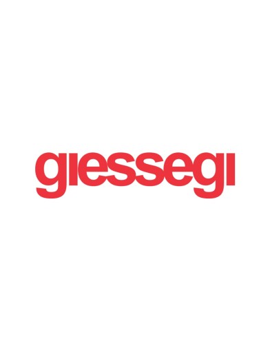 GIESSEGI